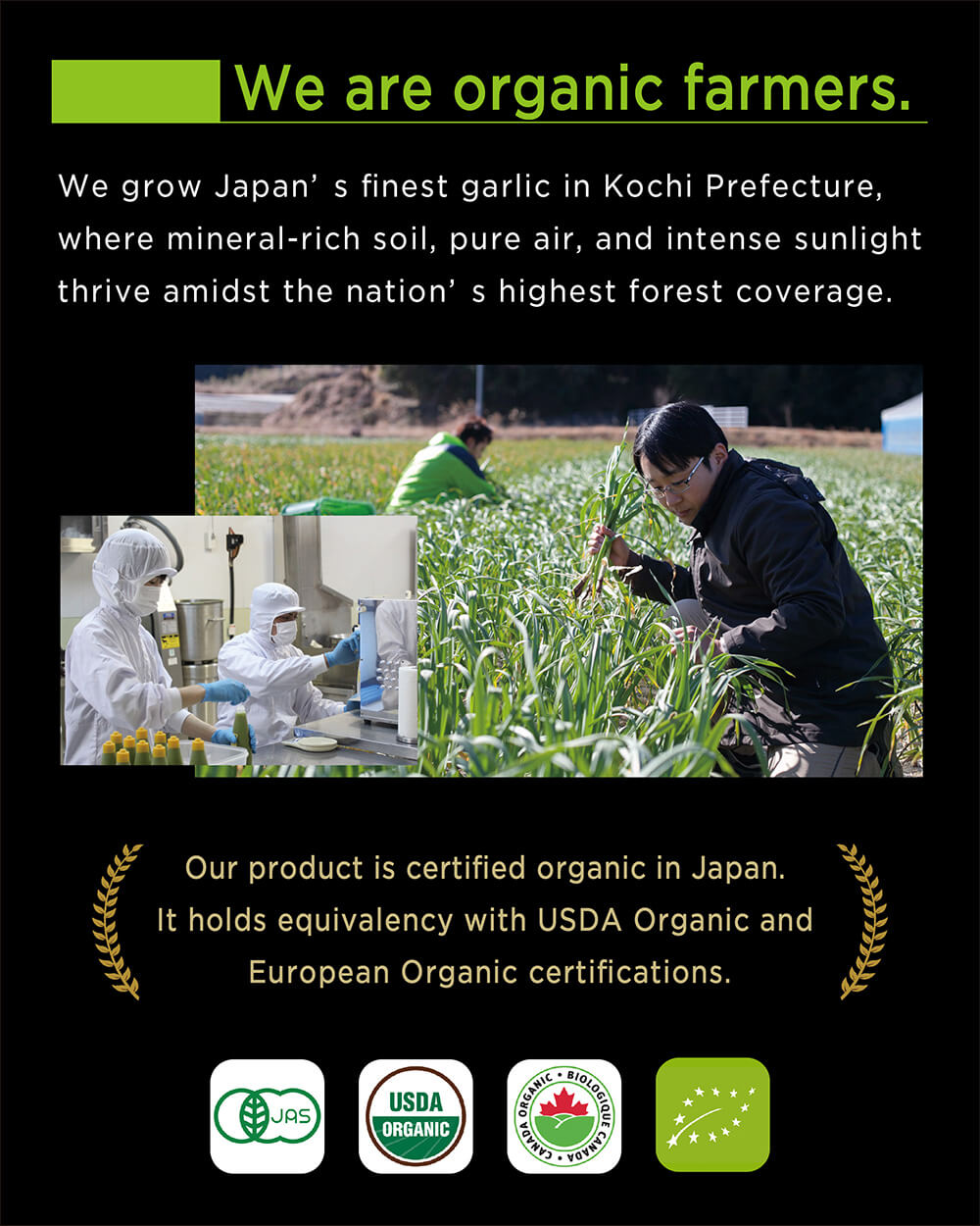 Organic Black Garlic Paste《L》300g
