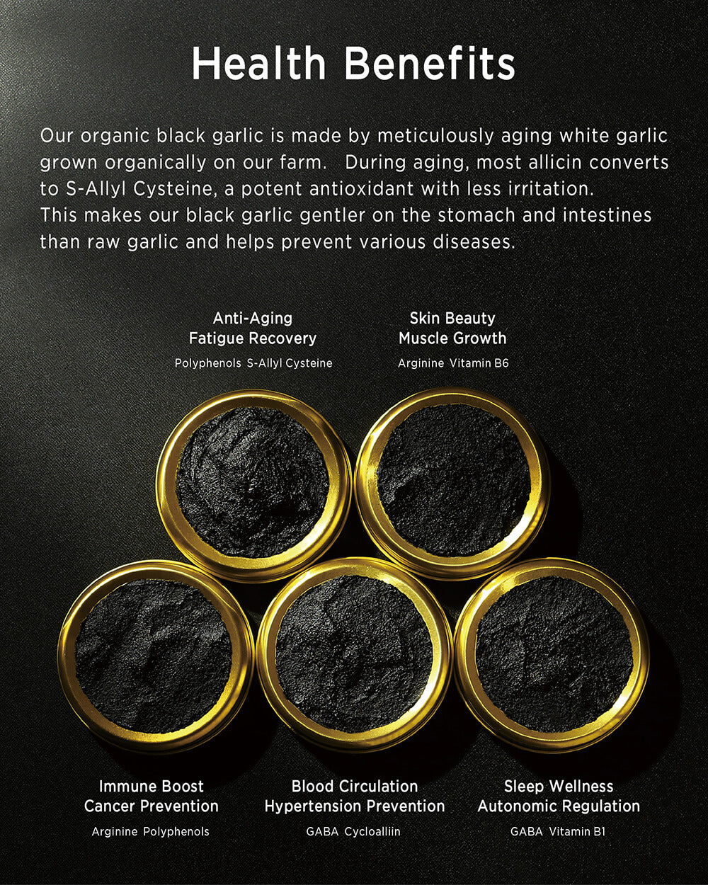 Organic Black Garlic Paste《L》300g